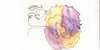 EP level2/2024/school_level2/elaborati/78/foto/78--Agnoletto-Michael.jpg