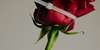 EP level2/2025/school_level2/elaborati/173/foto/173--loppressione.jpg