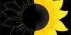 EP level2/2026/school_level2/elaborati/218/foto/218--loghin.Eleonor1.png