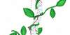 EP level2/2026/school_level2/elaborati/220/foto/220--1-Arcucci.jpg