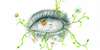 EP level2/2026/school_level2/elaborati/223/foto/223--4-Brutti.jpg