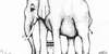 EP level2/2026/school_level2/elaborati/266/foto/266--0.jpg